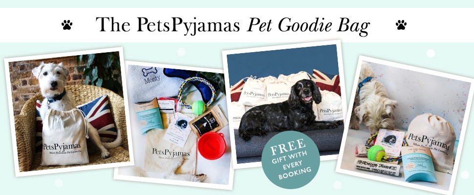 pet goodie bag 2019 | petspyjamas