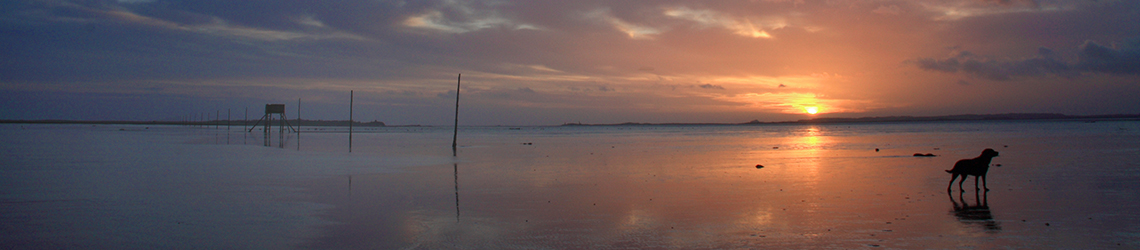 Dog-friendly Scilly Isles Holidays
