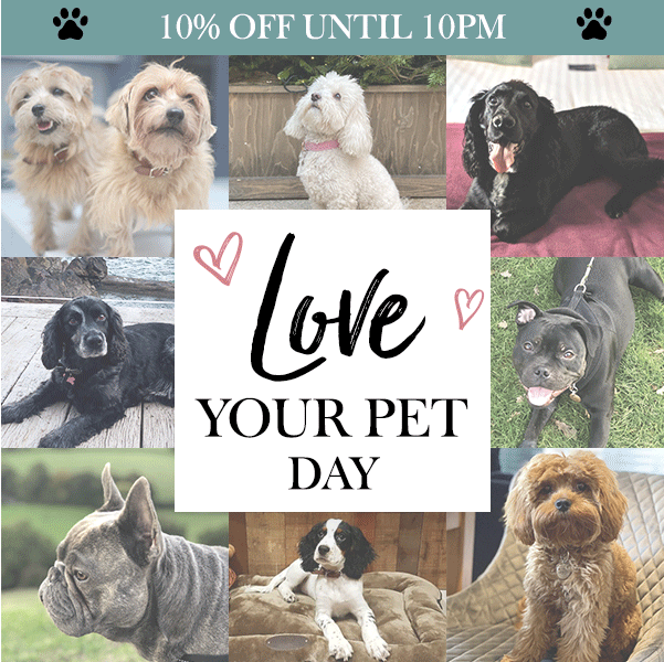 dog pet gif dog pet costume gifs 动态图库网