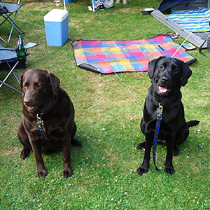 Cadbury & Bonnie