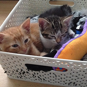 Fred & Ginger