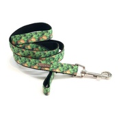 Percy & Co - Dog Lead - Alderley