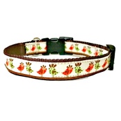 Woof and Meow - Funky Bird Small Dog Collar
