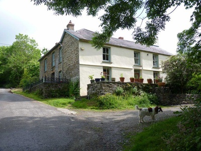 Holistic Retreat For You And Your Dog, Carmarthenshire