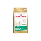 Royal Canin - Golden Retriever Jnr. 29 Dog Food