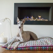 The Lounging Hound - Luxury Pure Wool Dog Bed - Grey Multispot