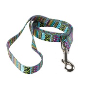 Yellow Dog - Festival Stripe Dog Lead