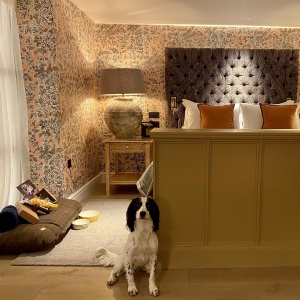<strong>Homewood Hotel & Spa, Bath, Somerset</strong>
