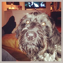 Otto