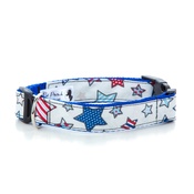 Pet Pooch Boutique - Star Gaze Dog Collar 1" Width