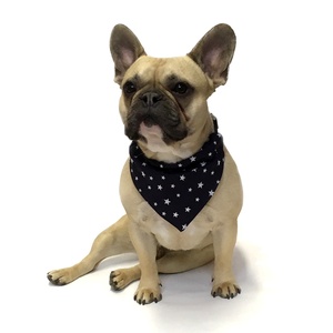 Navy Star Indiana Dog Bandana