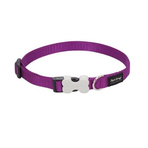 Purple Dog Collar