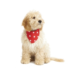 Red Star Dog Bandana