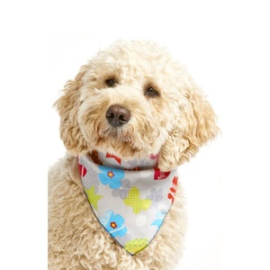 Shape Shifter Dog Bandana - Grey
