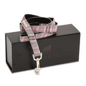 Percy & Co - The Winchester Lead