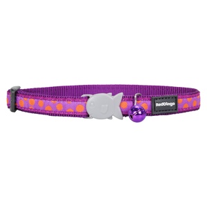 Orange Spots on Purple Cat Collar