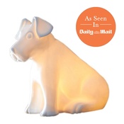 White Rabbit - Dog Lamp