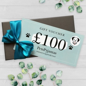 £100 Travel Gift Voucher by Email