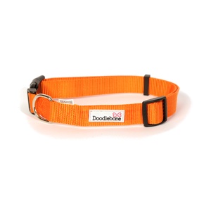 Bold Dog Collar – Orange