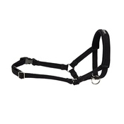 Ami Play - Ami Play Cotton Halter Harness - Black