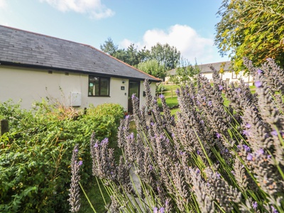 Hazel Cottage, Cornwall