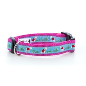 Pet Pooch Boutique - Stanley Dog Collar 1" Width