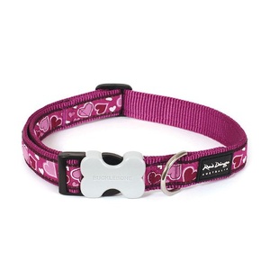Purple Breezy Love Dog Collar