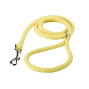 Yellow Dog - Braided Dog Lead – Daffodil Yellow