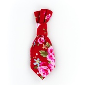 Pet Pooch Boutique - Red Vintage Dog Tie