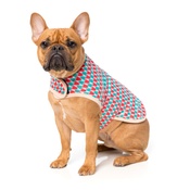 FuzzYard - Festive Spirit Christmas Wrap Dog Coat