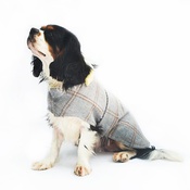 Minkeys Tweed - Darcy Tweed Dog Coat