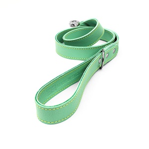 Pale Green Leather Dog Lead