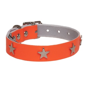 Galaxy Dog Collar - Orange, Nickel Stars