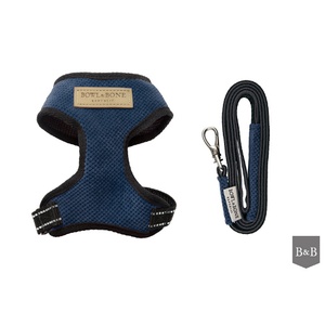 Candy Harness & Lead Set - Blue