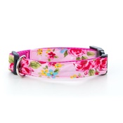 Pet Pooch Boutique - Pink Vintage Dog Collar 1" Width