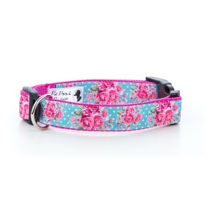 Millie Dog Collar