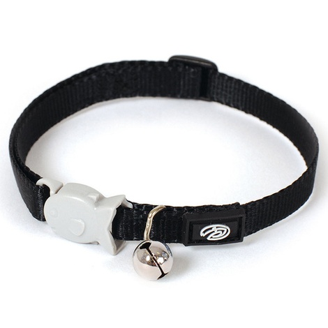 collar that says kitten