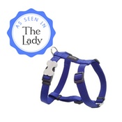 Red Dingo - Plain Dog Harness - Blue