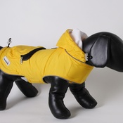 Doodlebone - Mac-in-a-Pack Jacket - Yellow