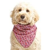 Pet Pooch Boutique - Superstar Dog Bandana