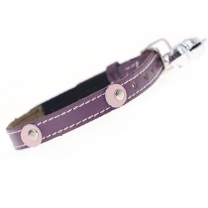 Moet Cat Collar