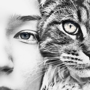 Tell us how we can make PetsPyjamas even better