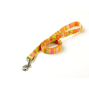 Green Bouquet Lead with Stripes Uptown Range