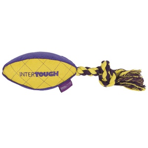 Intertough Rugby Dog Toy