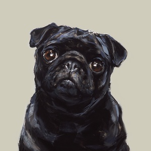 Black Pug Medium Art Print