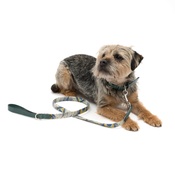 Mutts & Hounds - Peacock Linen and Leather Dog Lead