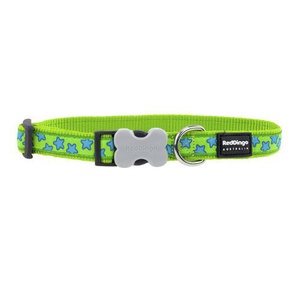 Red Dingo Patterned Dog Collar - Lime Green/Turquoise