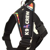 K9 - N/A