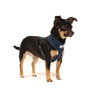 Airmesh Dog Harness – Navy