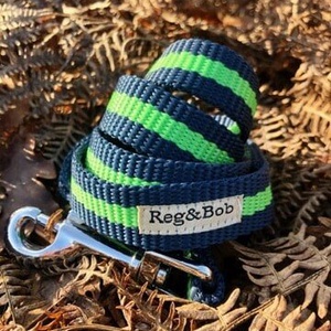 Green Dog Lead